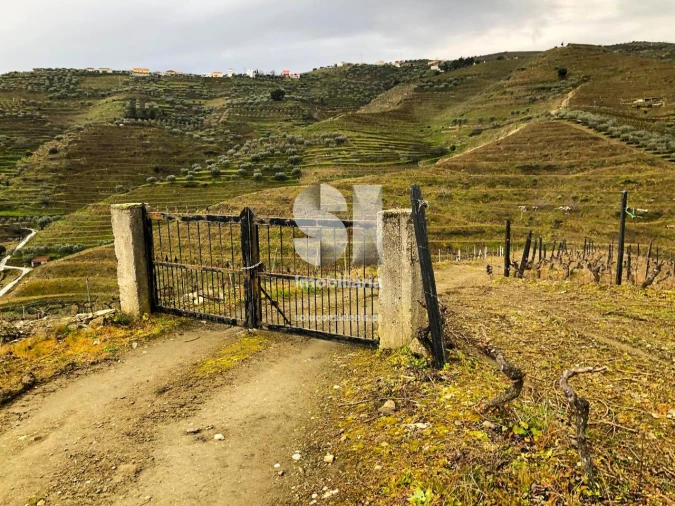 Terreno para Venda em Candedo Foto 4