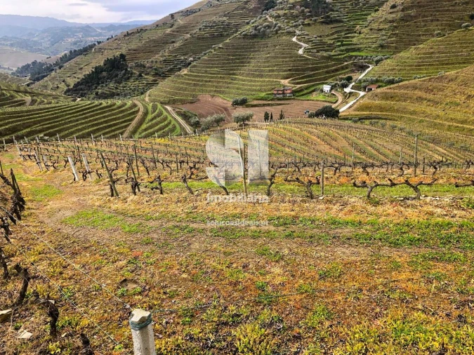 Terreno para Venda em Candedo Foto 6