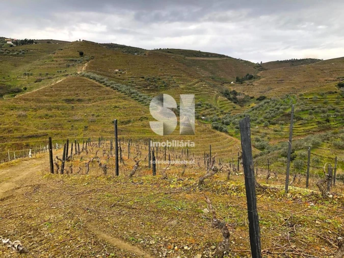 Terreno para Venda em Candedo Foto 7