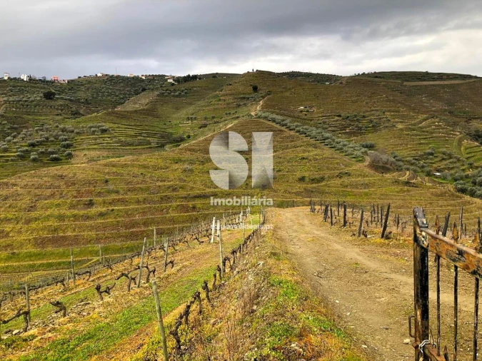 Terreno para Venda em Candedo Foto 13