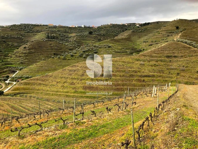 Terreno para Venda em Candedo Foto 15