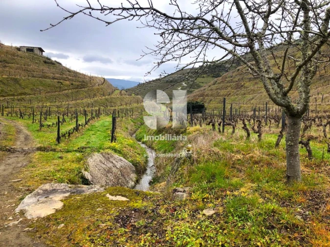 Terreno para Venda em Candedo Foto 3