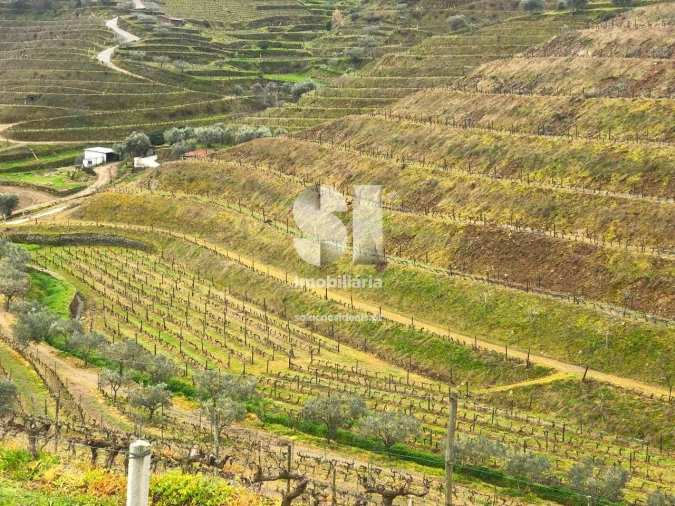 Terreno para Venda em Candedo Foto 19