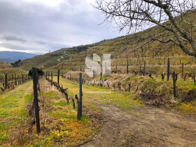 Terreno para Venda em Candedo Foto 23