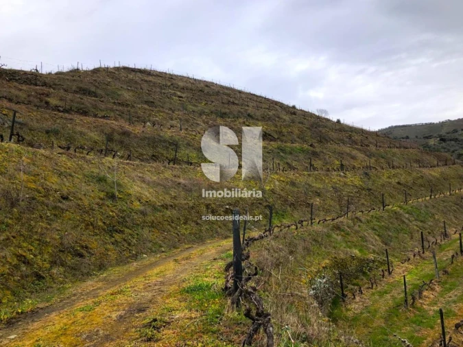 Terreno para Venda em Candedo Foto 27