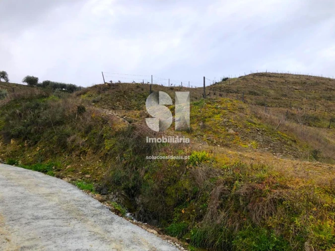 Terreno para Venda em Candedo Foto 28