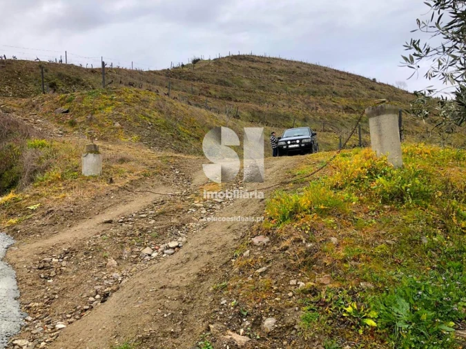 Terreno para Venda em Candedo Foto 29