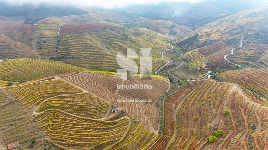 Terreno para Venda em Candedo Foto 33
