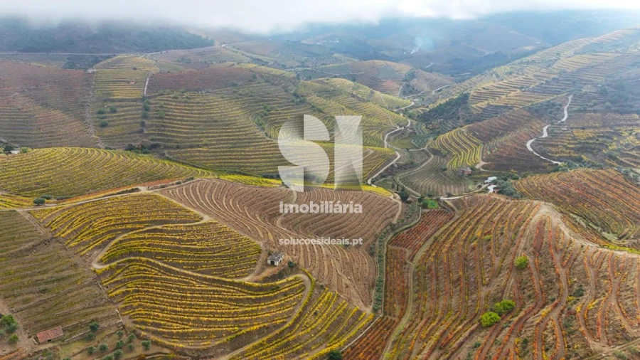 Terreno para Venda em Candedo Foto 34