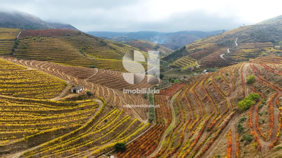 Terreno para Venda em Candedo Foto 1