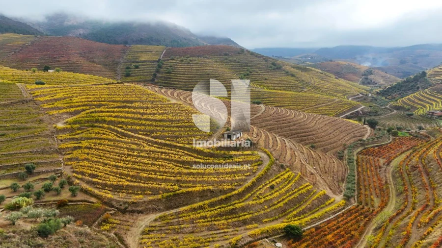 Terreno para Venda em Candedo Foto 36
