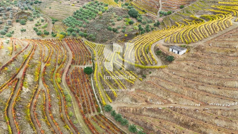 Terreno para Venda em Candedo Foto 2