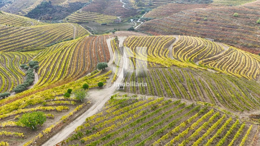 Terreno para Venda em Candedo Foto 39