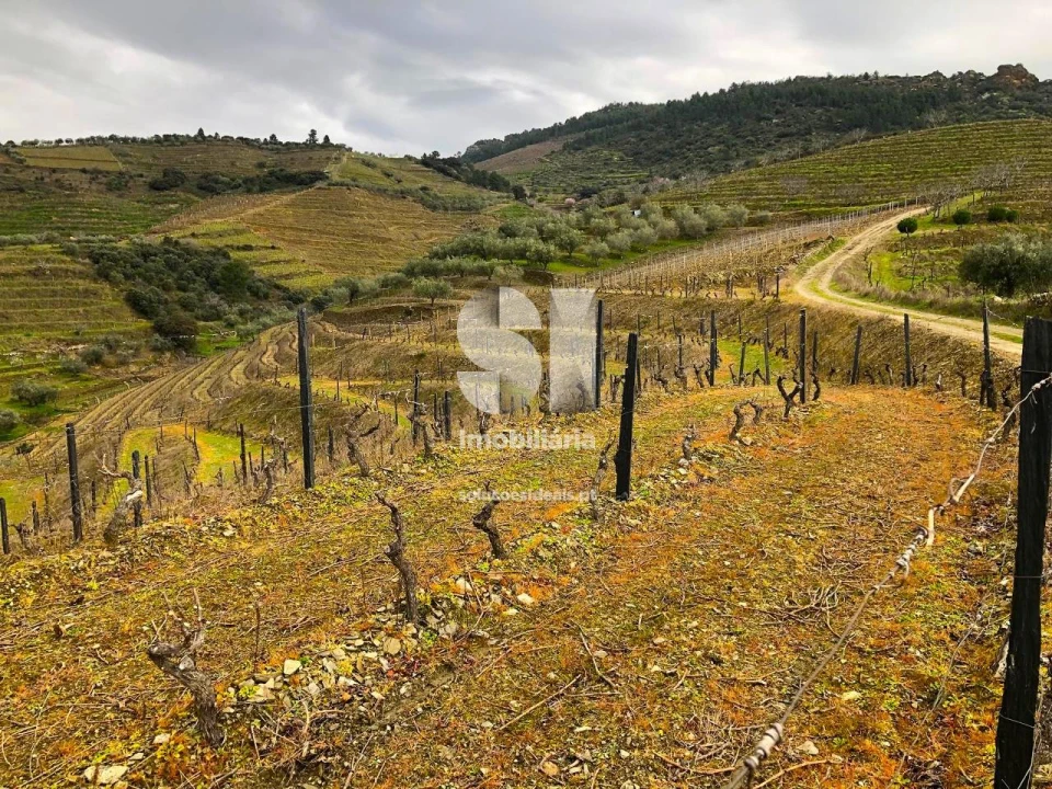Terreno para Venda em Candedo Foto 9