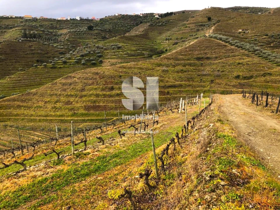 Terreno para Venda em Candedo Foto 10