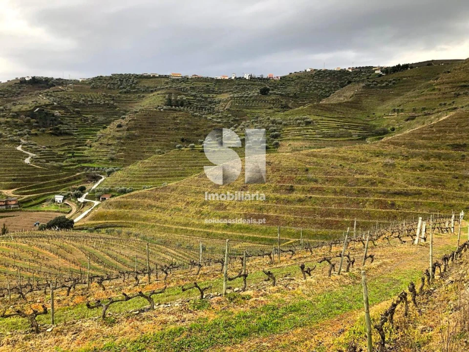 Terreno para Venda em Candedo Foto 14