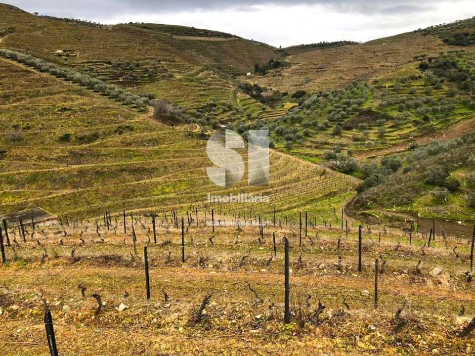 Terreno para Venda em Candedo Foto 16