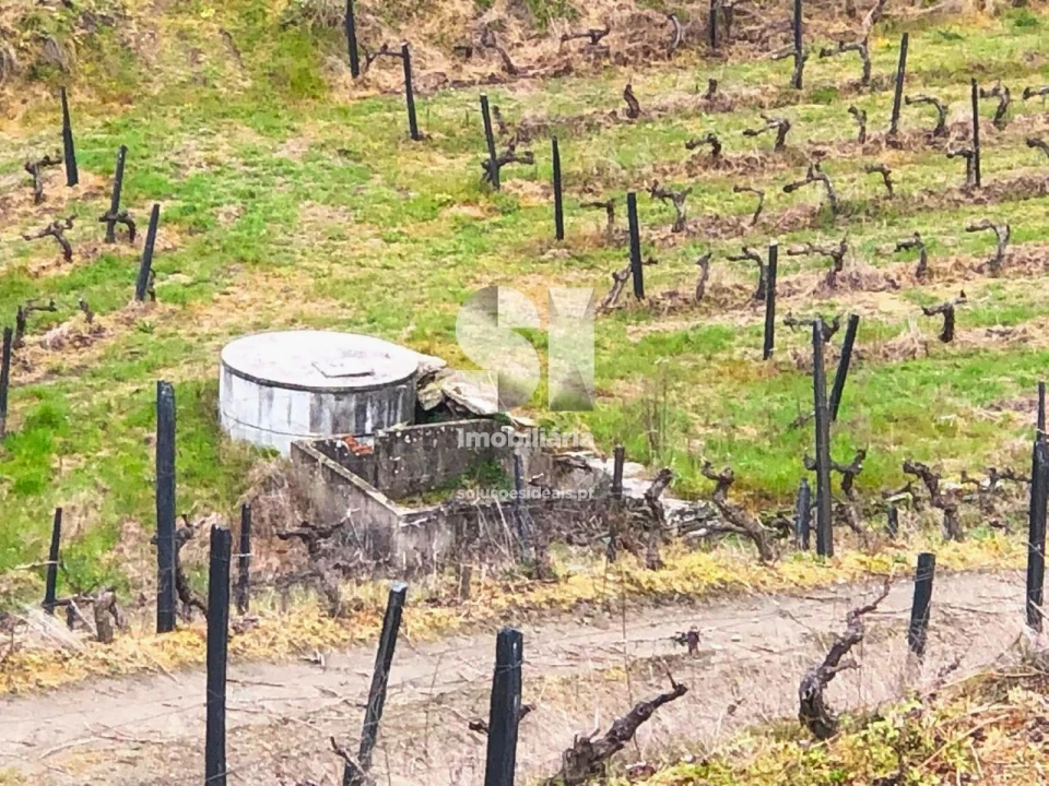 Terreno para Venda em Candedo Foto 17