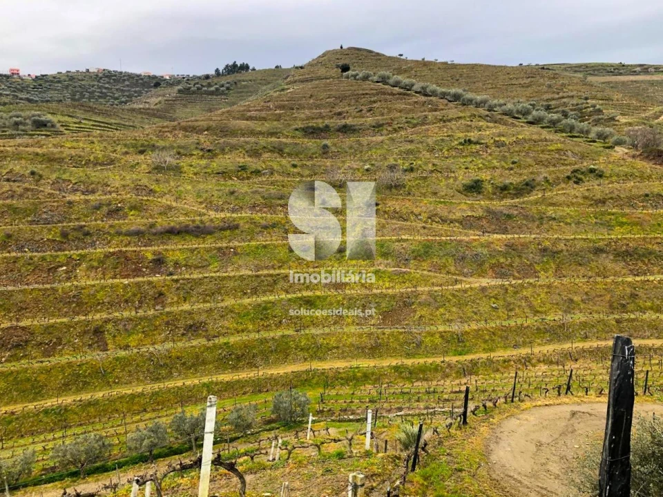 Terreno para Venda em Candedo Foto 18