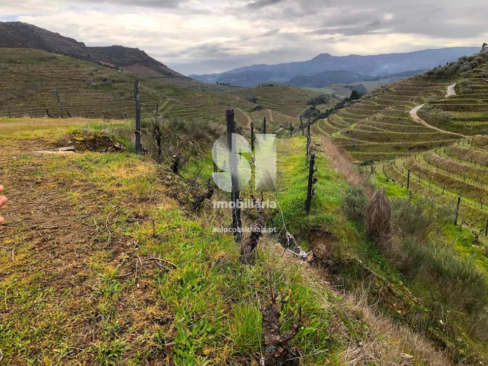 Terreno para Venda em Candedo Foto 24