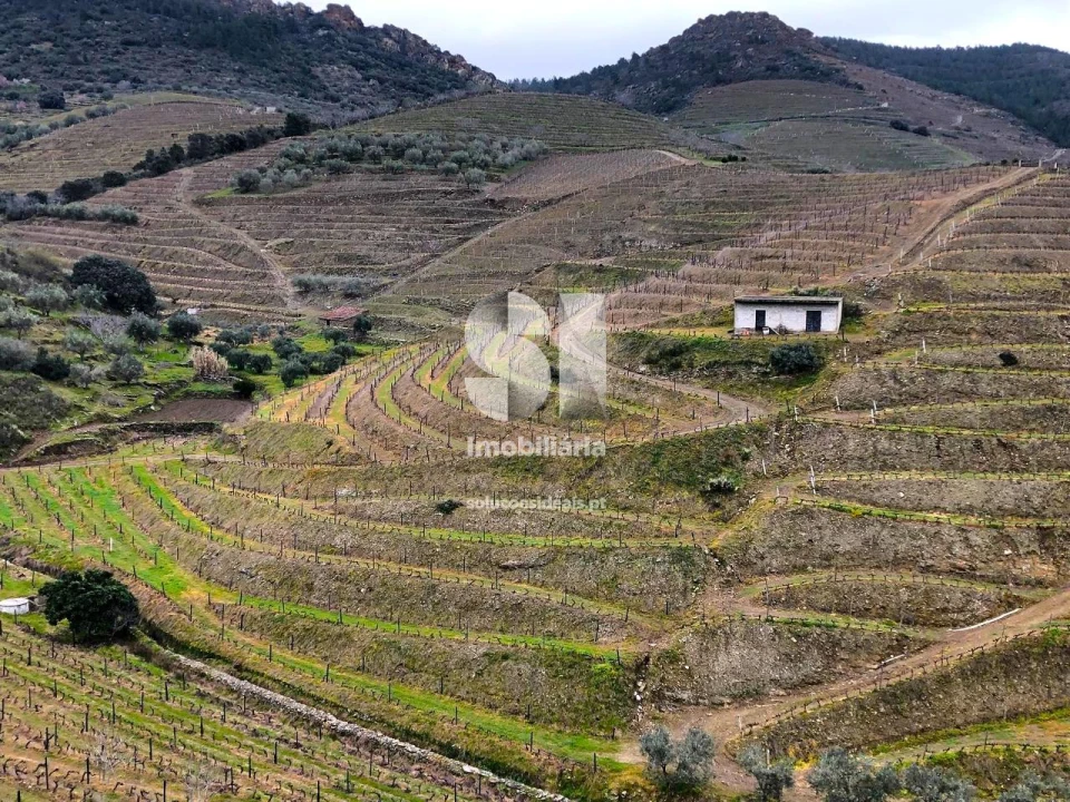 Terreno para Venda em Candedo Foto 25