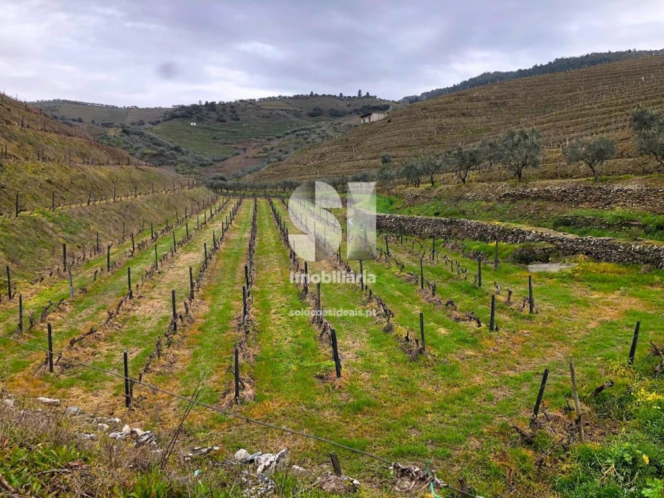 Terreno para Venda em Candedo Foto 26