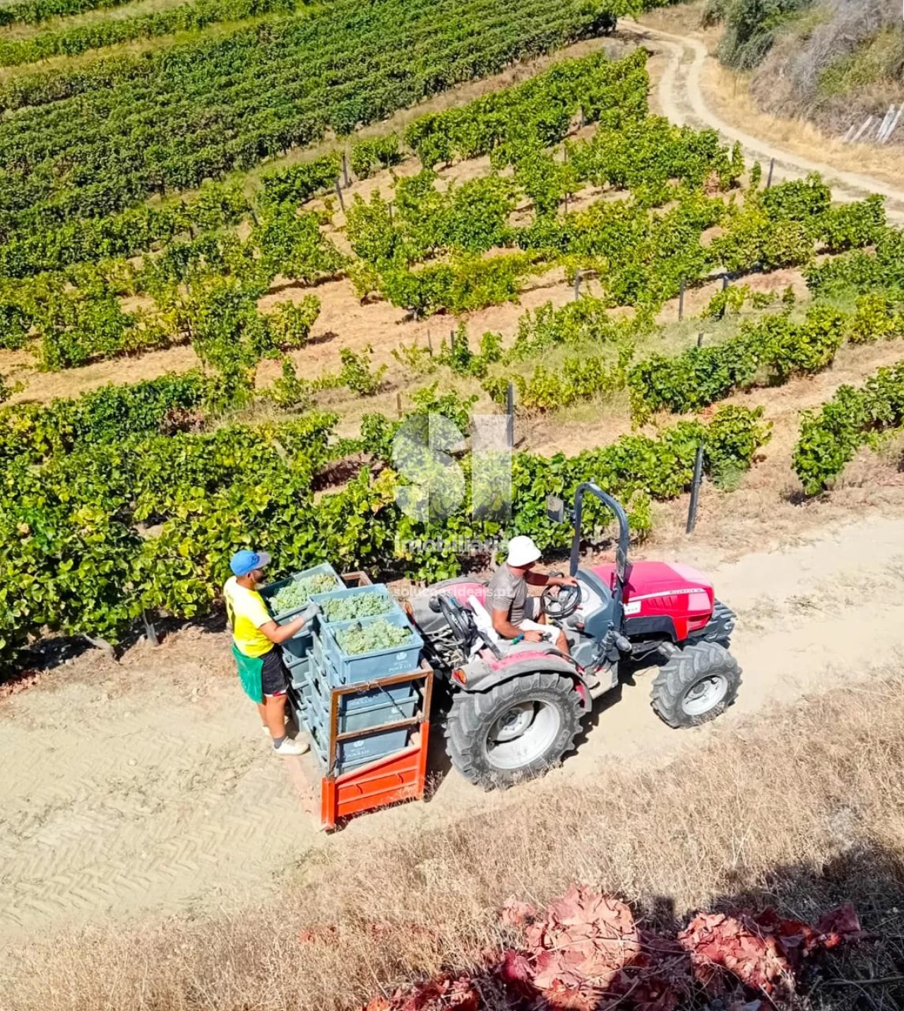 Terreno para Venda em Candedo Foto 5