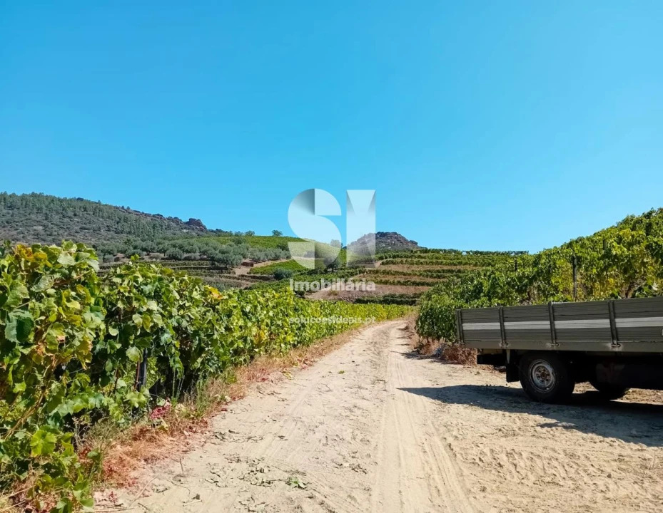Terreno para Venda em Candedo Foto 31