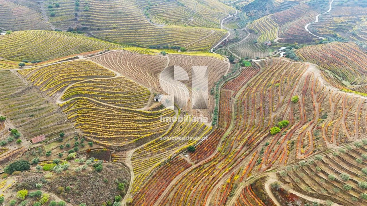 Terreno para Venda em Candedo Foto 35