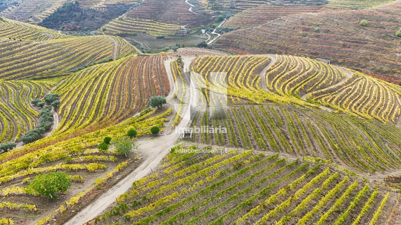 Terreno para Venda em Candedo Foto 39