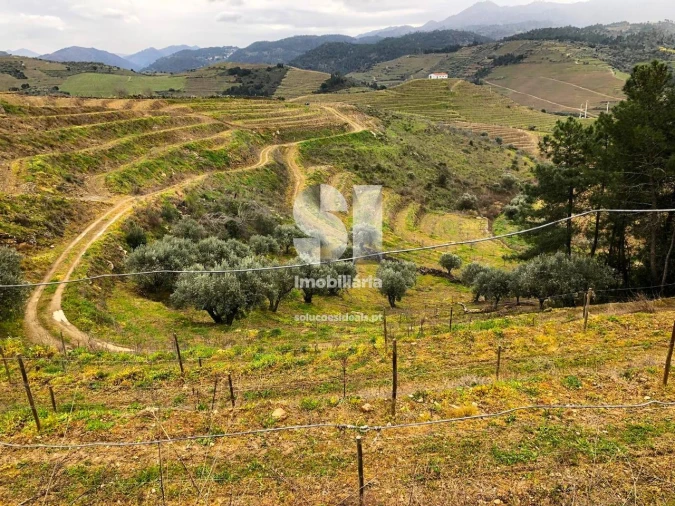 Terreno para Venda em Candedo Foto 11