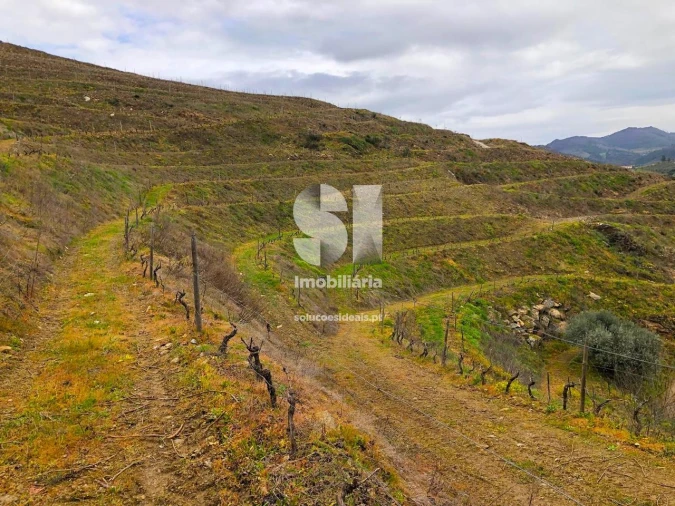 Terreno para Venda em Candedo Foto 13