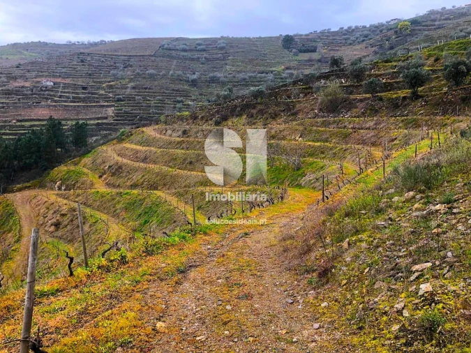 Terreno para Venda em Candedo Foto 14