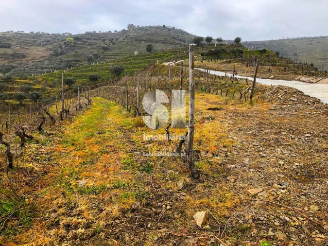 Terreno para Venda em Candedo Foto 2