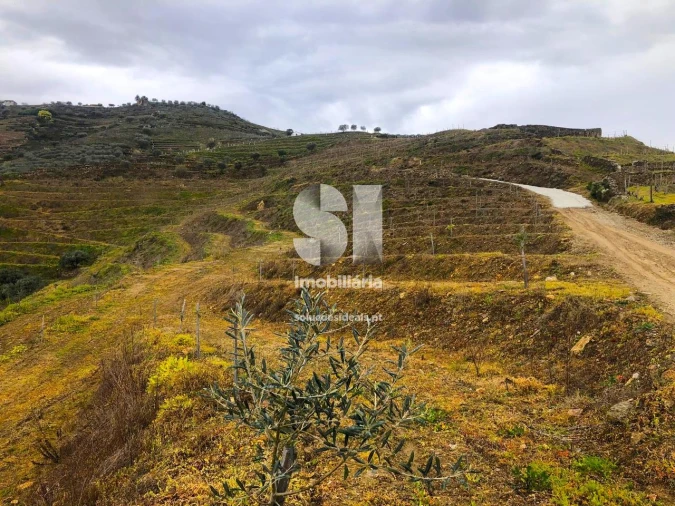 Terreno para Venda em Candedo Foto 20