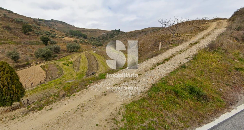 Terreno para Venda em Candedo Foto 21