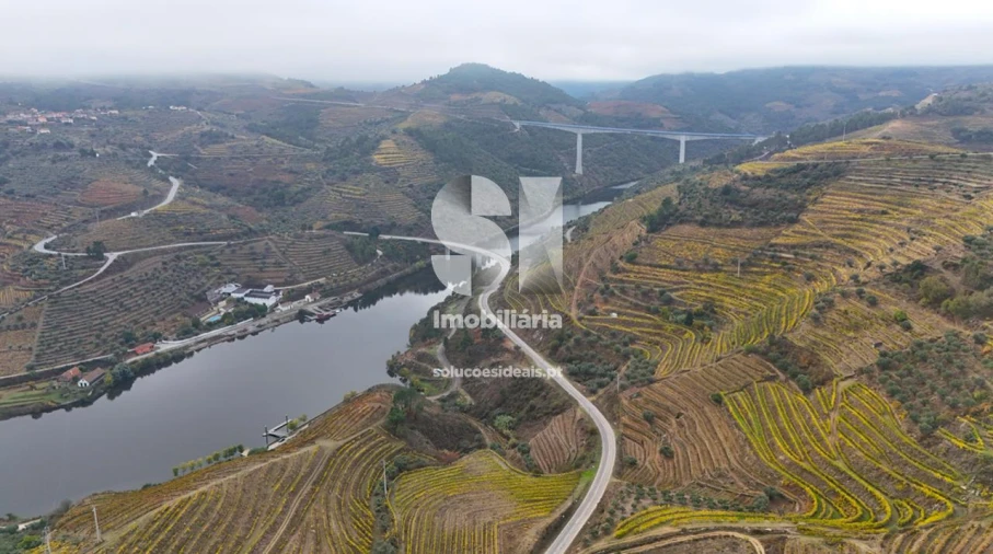 Terreno para Venda em Candedo Foto 30