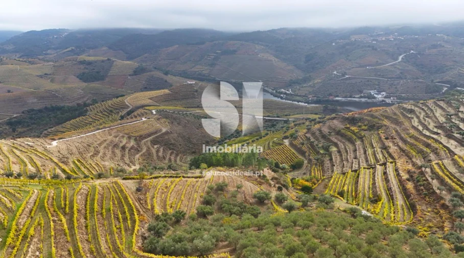 Terreno para Venda em Candedo Foto 23