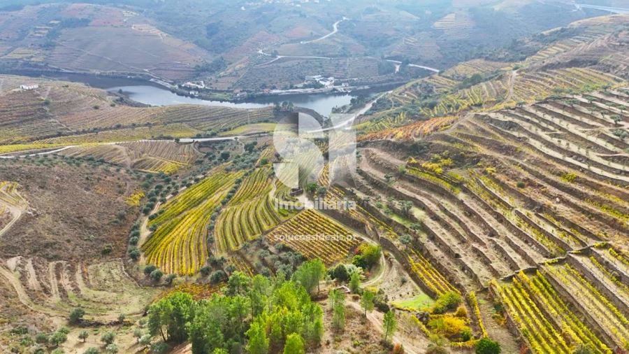 Terreno para Venda em Candedo