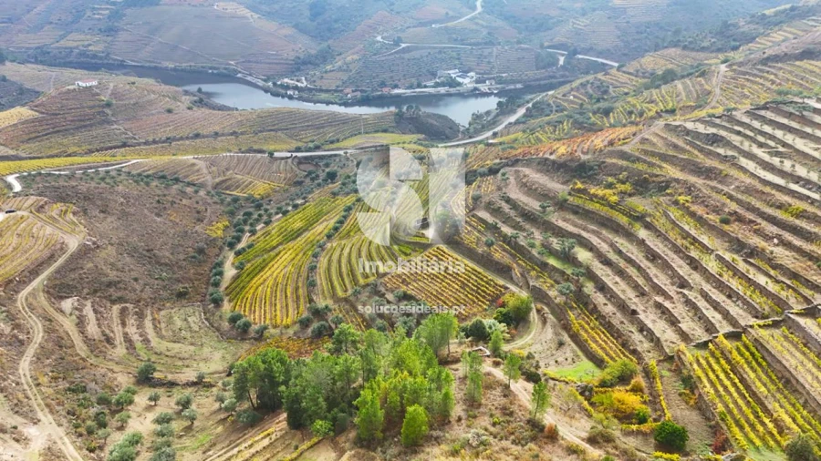 Terreno para Venda em Candedo Foto 25