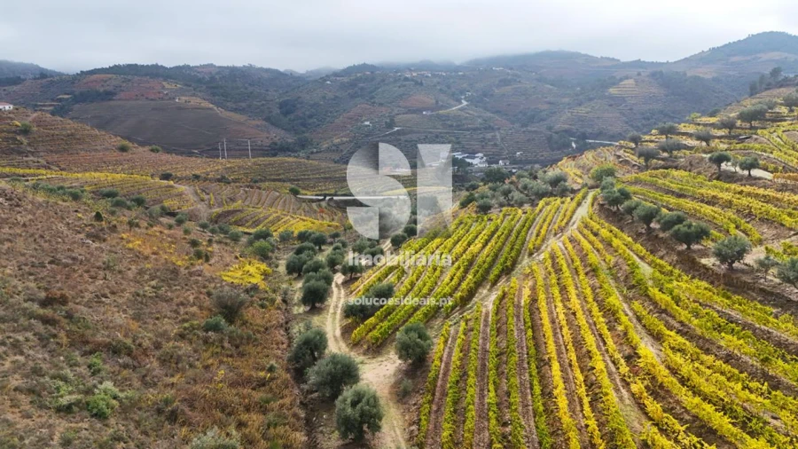 Terreno para Venda em Candedo Foto 26