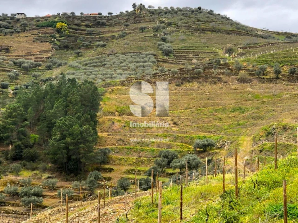 Terreno para Venda em Candedo Foto 4