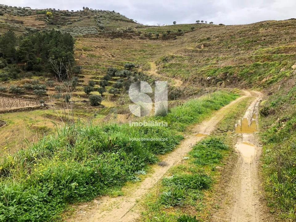 Terreno para Venda em Candedo Foto 6