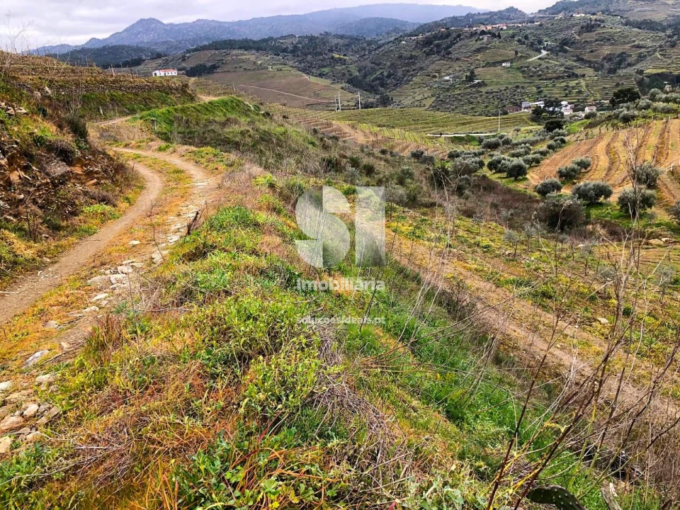 Terreno para Venda em Candedo Foto 8