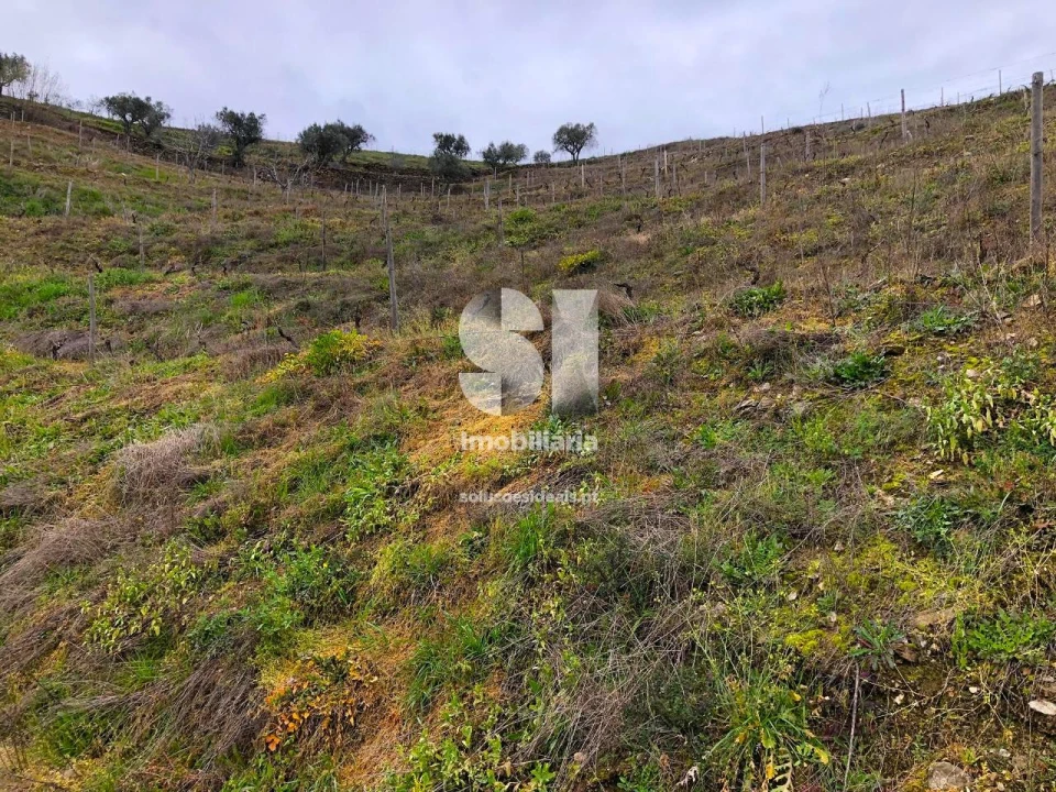 Terreno para Venda em Candedo Foto 10