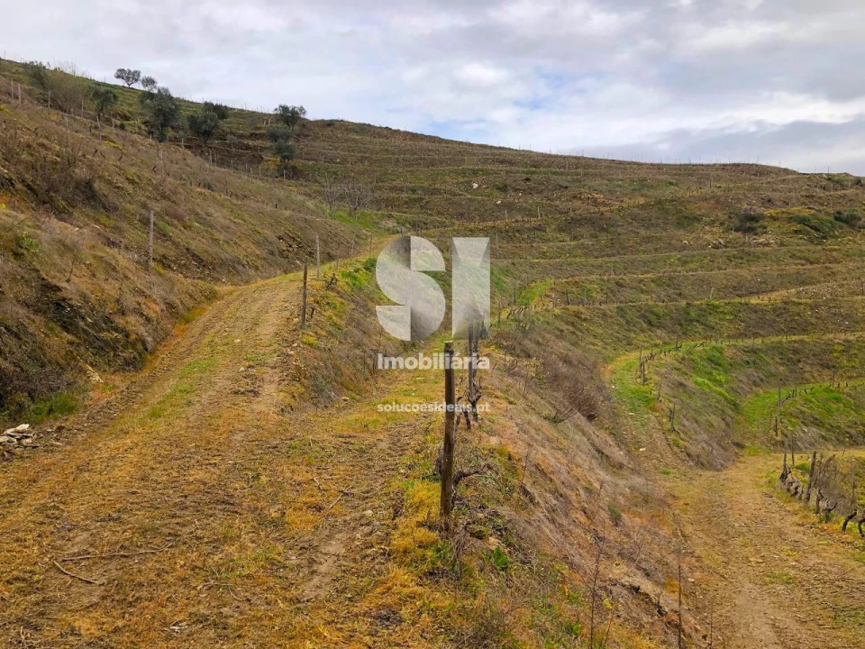 Terreno para Venda em Candedo Foto 12