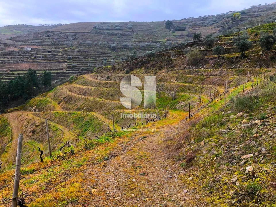 Terreno para Venda em Candedo Foto 14