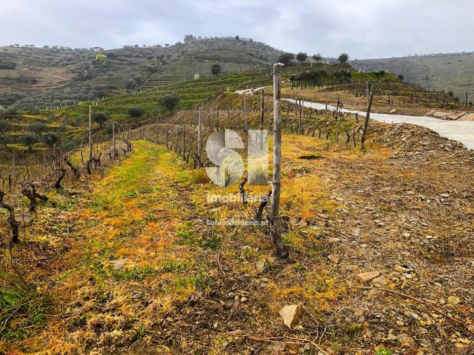Terreno para Venda em Candedo Foto 2