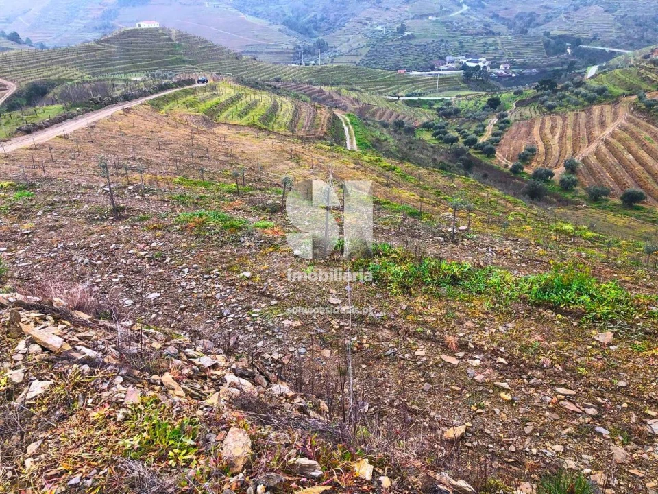 Terreno para Venda em Candedo Foto 16
