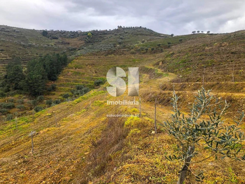 Terreno para Venda em Candedo Foto 19